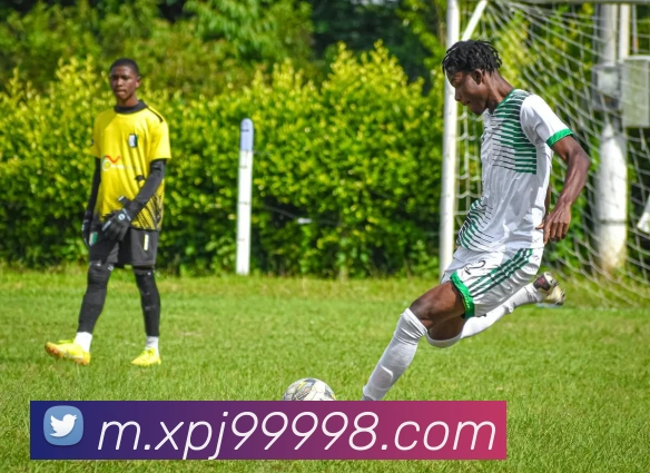 App Interface Preview