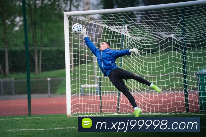 新葡京娱乐APP 封面图